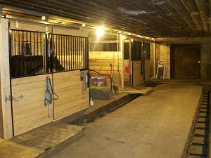 finished horse stalls