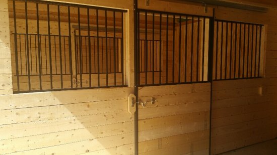 black horse stall fronts