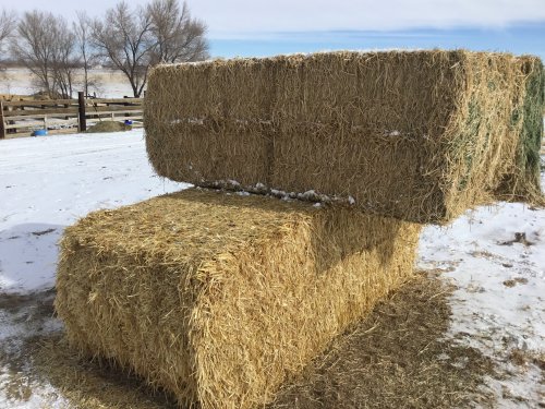Hay Bales